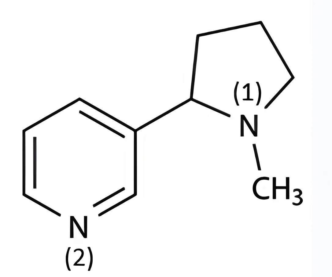 Q1