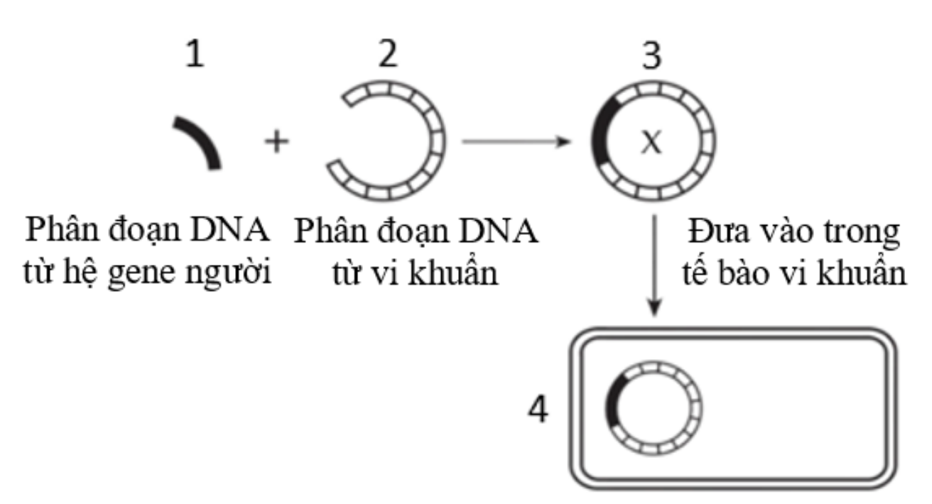 Q1