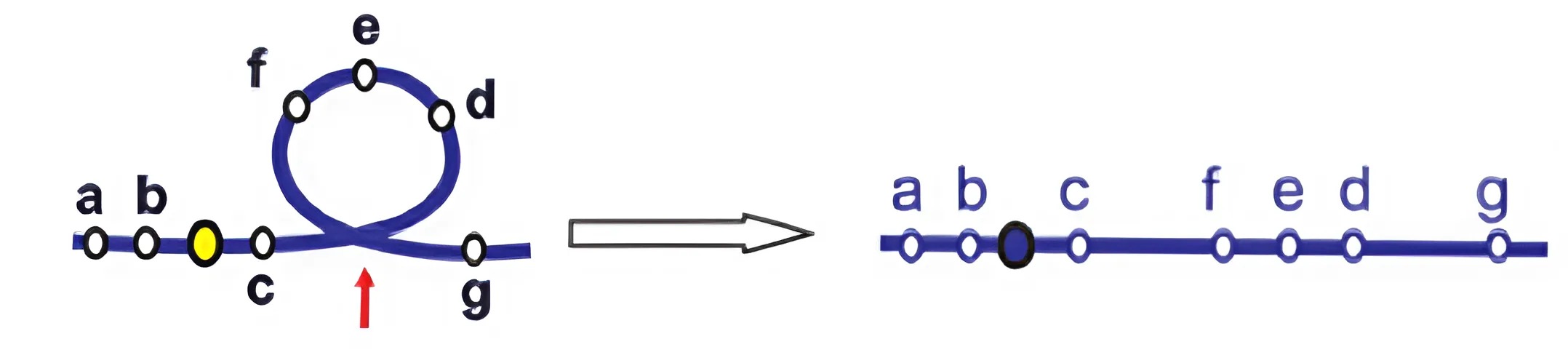 Q1