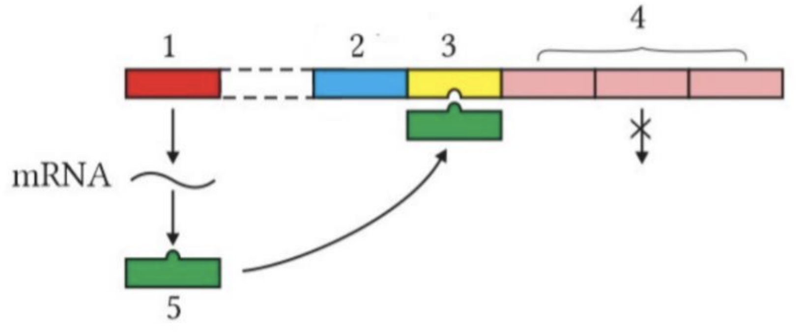 Q1